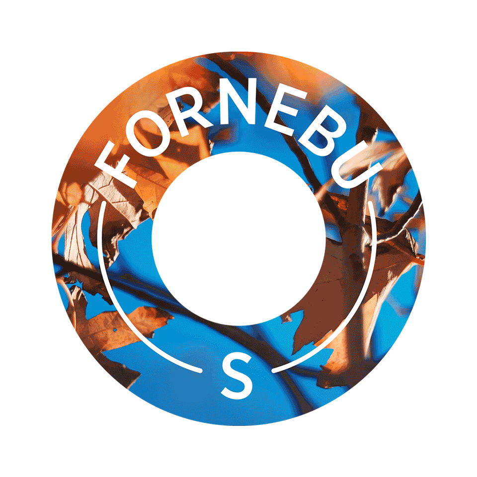 Fornebu S logo animasjon